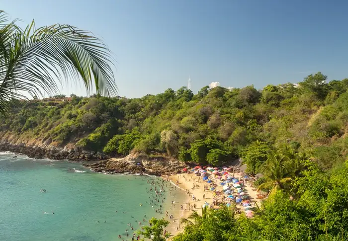 Photo of Day 19: Manzanillo