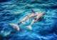 Marine Adventures