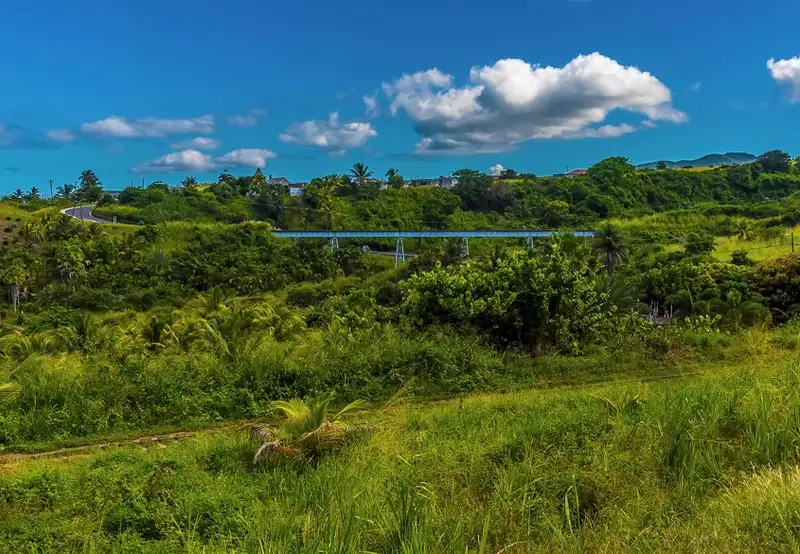 Scenic Railway