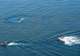 Jet Skis