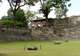 Mayan Ruins, Tikal