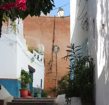 Medina