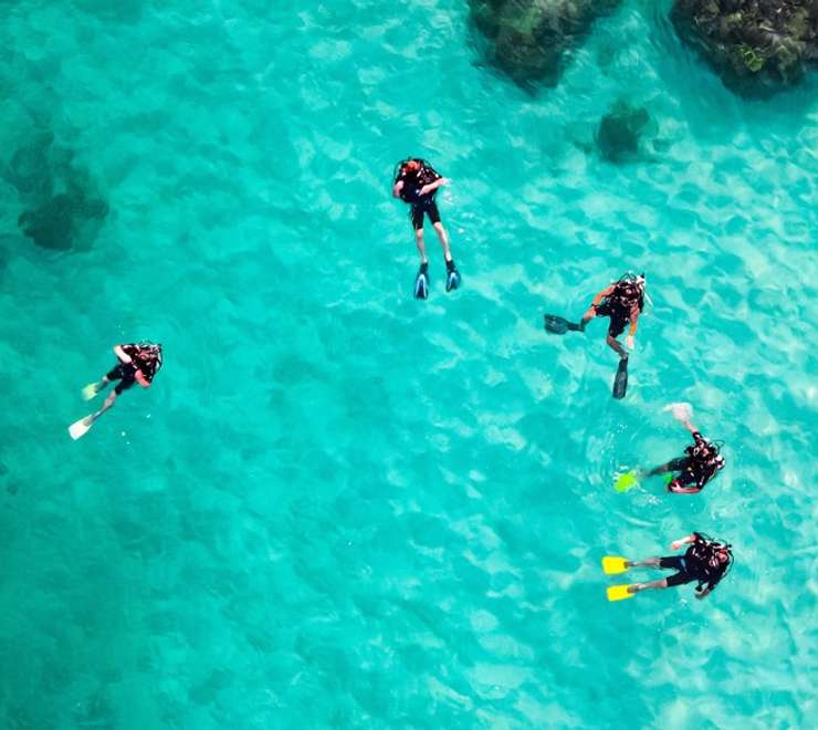 Scuba Diving 