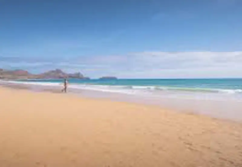 The Golden Beach