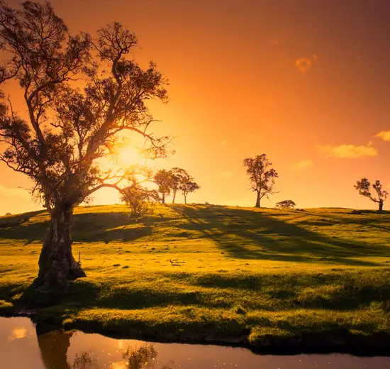 Adelaide