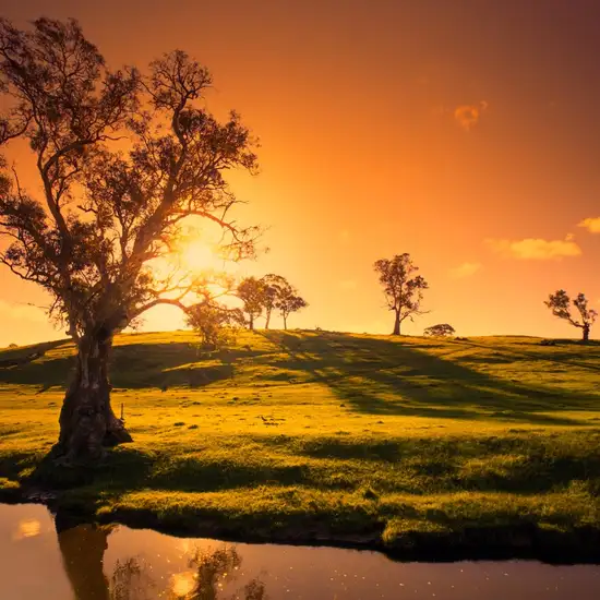 Adelaide