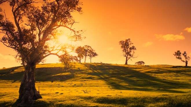 Immerse yourself in Adelaide's vibrant atmosphere