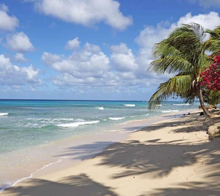 Mahogany Bay 