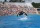 Marine World