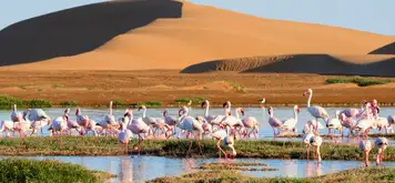 Walvis Bay