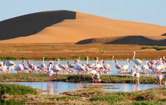 Walvis Bay