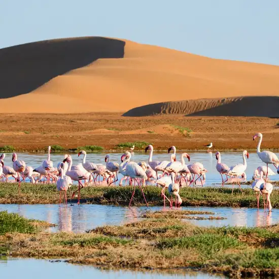 Walvis Bay