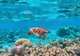 Mesoamerican Barrier Reef