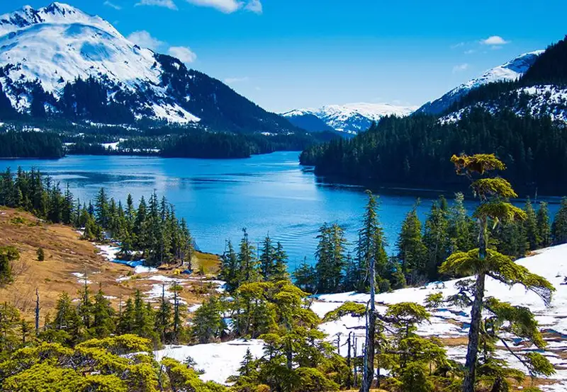 Prince William Sound