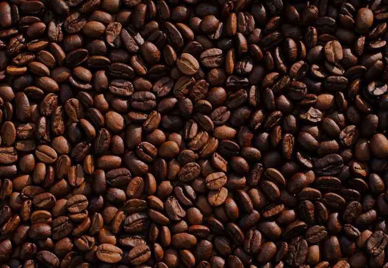 Filadelfia coffee plantation
