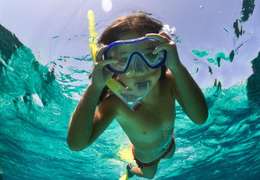 Snorkel Area