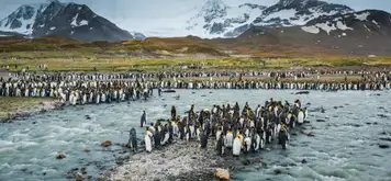 South Georgia Island - Overnight onboard