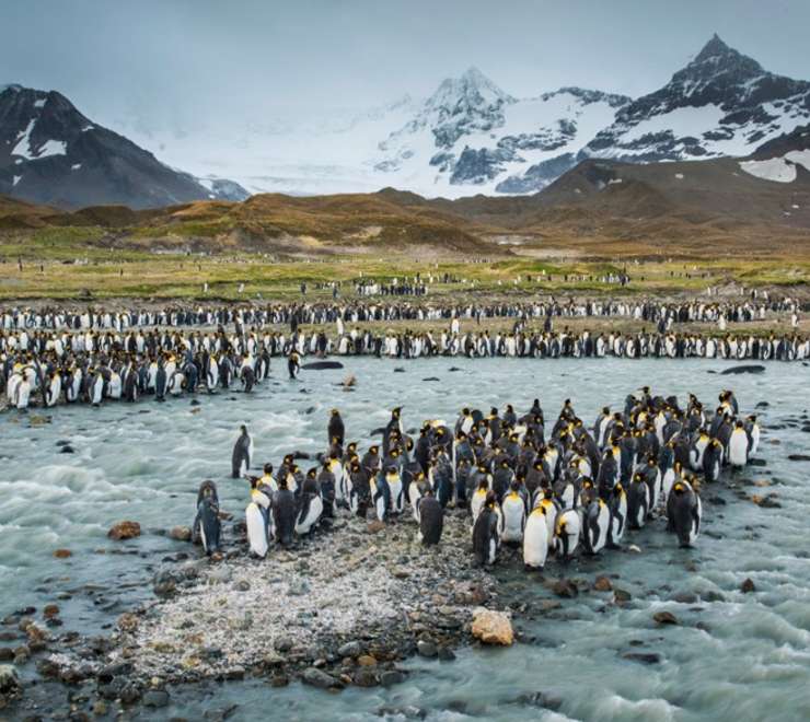 South Georgia Island - Overnight onboard