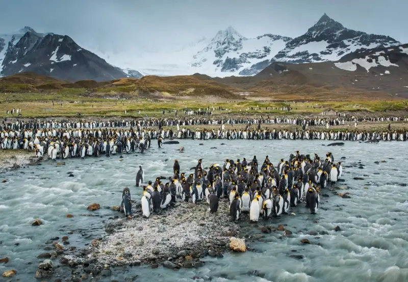 South Georgia Island - Overnight onboard