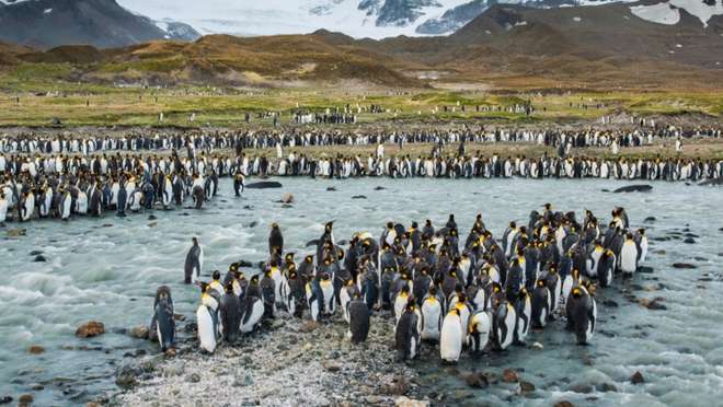 South Georgia Island - Overnight onboard