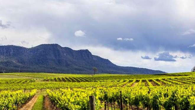 Savour rich wines and crisp local flavors