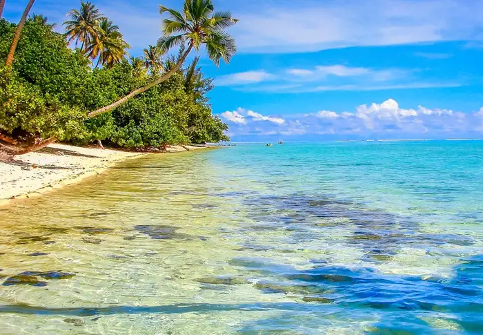 Photo of Day 10: Moorea