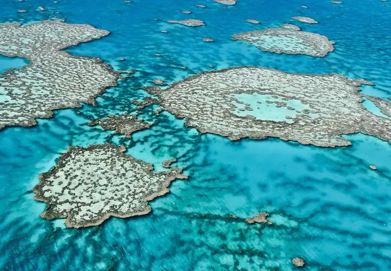 Great Barrier Reef