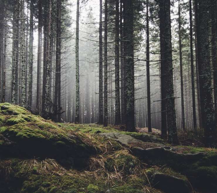 Wilderness Activities 