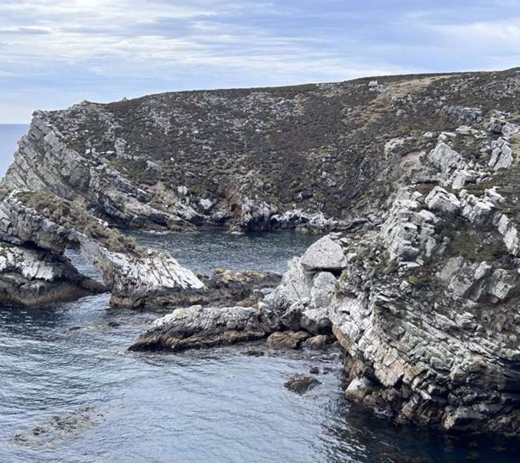 Kidney Cove