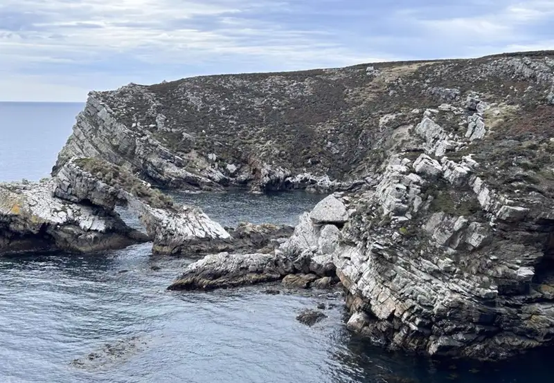 Kidney Cove