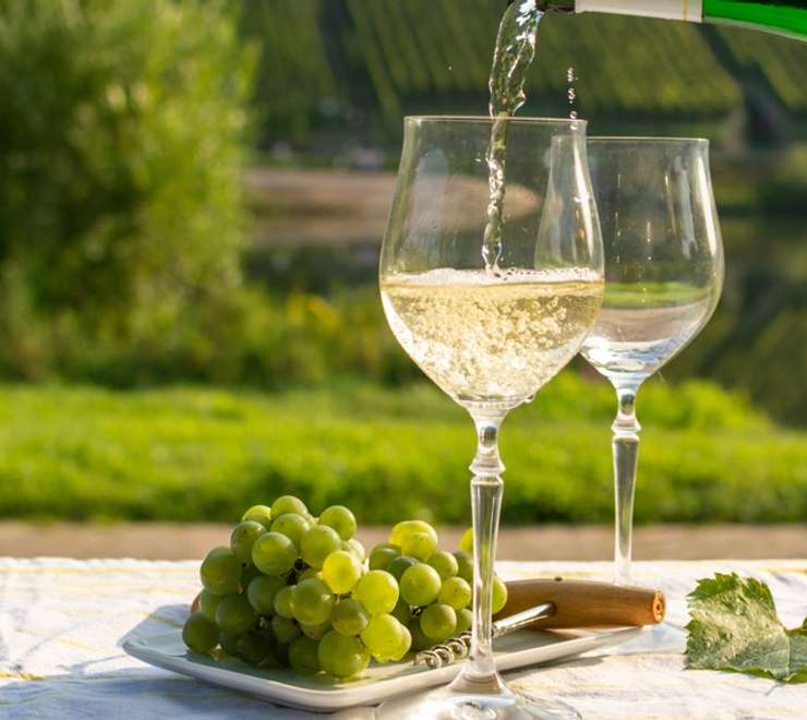 Wine Tasting and Winery Tours