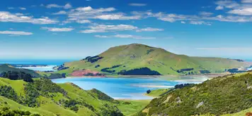 Dunedin