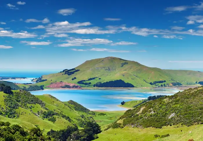 Photo of Day 11: Dunedin