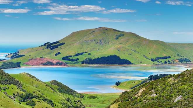 Dunedin