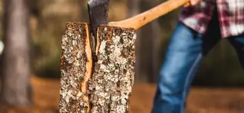Lumberjack Show