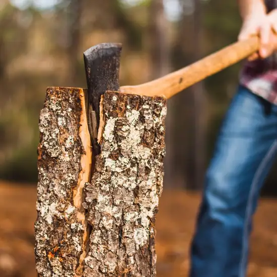 Lumberjack Show