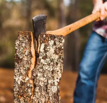 Lumberjack Show