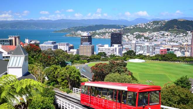 Savour crisp harbour breezes in Wellington