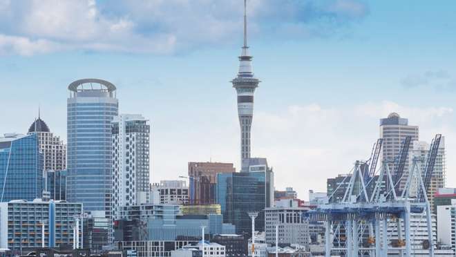 Savour crisp harbour breezes in sunny Auckland