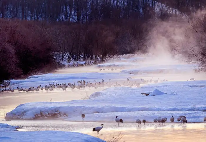 Photo of Day 8: Kushiro