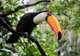Aviarus bird sanctuary