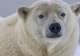 Polar Museum