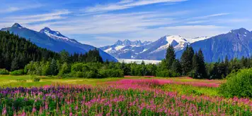Juneau