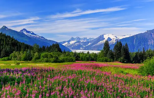 Juneau