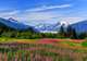 Juneau