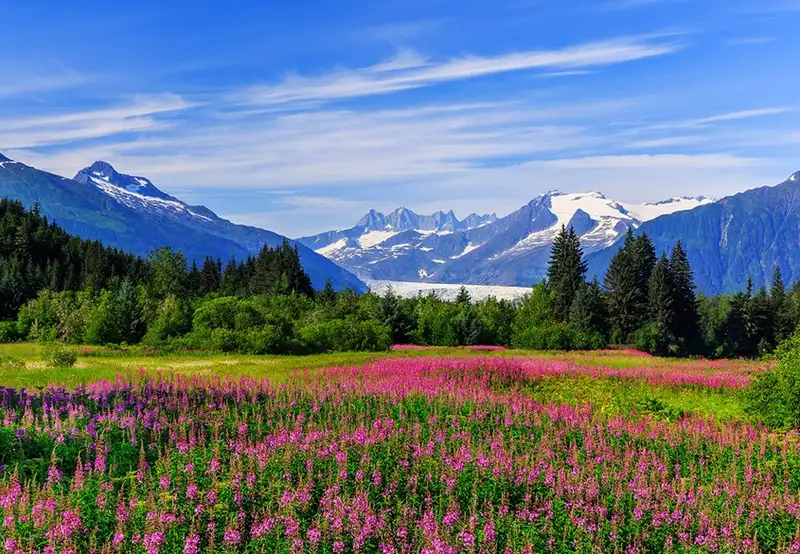 Juneau