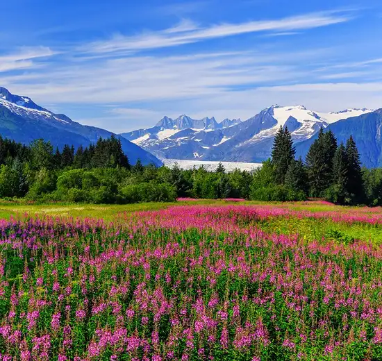 Juneau