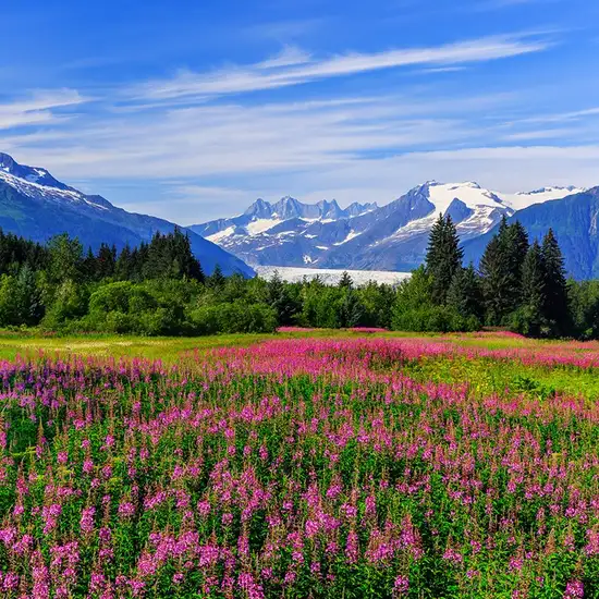 Juneau