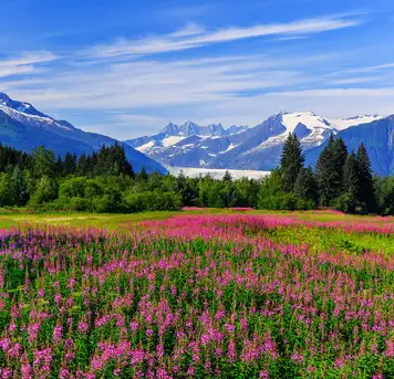 Juneau