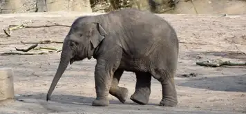 Tierpark Hagenbeck